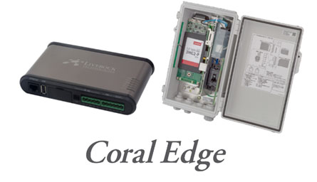 Coral Edge